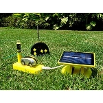 Eco Racer Solar, Carrinho de Controle Remoto Sustentvel, Movido a Energia Solar
