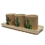 Conjunto Cachepot e Bandeja Cactos 4 peas
