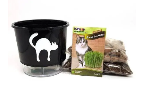 Kit completo para plantio de grama de gato