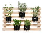 Kit horta vertical temperos -  60CM X 100CM Completa