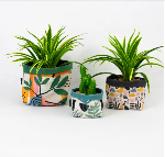 Conj. Cachepot Linho Plantas